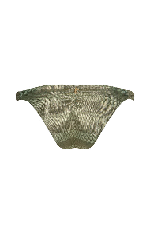 Potosi Bottom / Golden Green